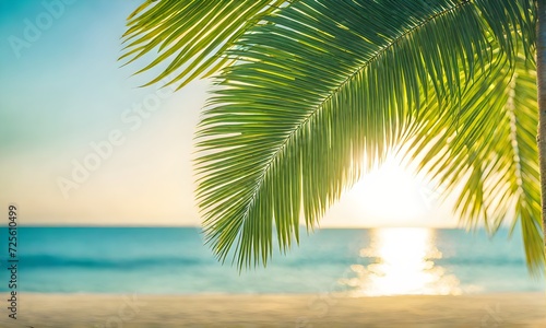 Serene summer beach scene with palm leaves  sand  and sea