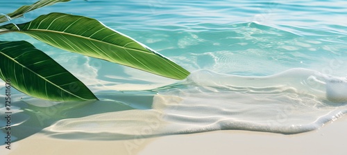 Tropical palm leaf shadow on water  captivating abstract summer vacation background