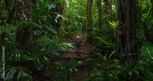 Landscape tropical rainforest
