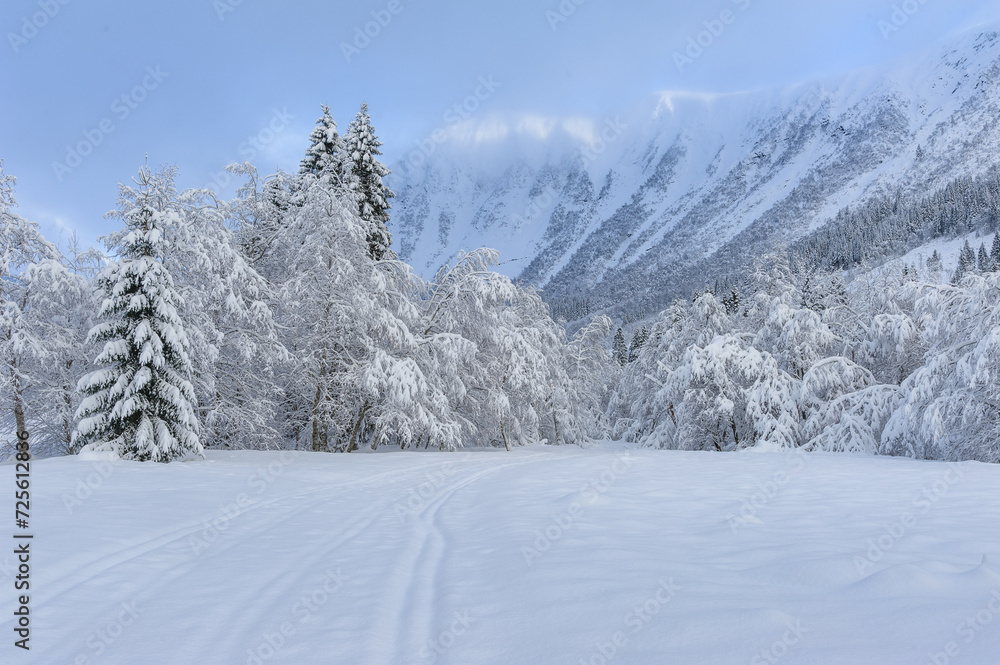 A serene landscape shows a fresh blanket of snow enveloping the trees and mountains, creating a silent and picturesque winter scene. A serene landscape shows a fresh blanket of snow enveloping the trees and mountains, creating a silent and picturesque winter scene.
