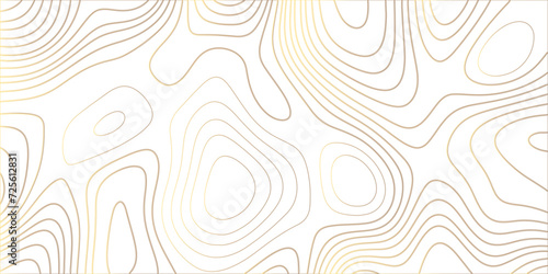 abstract golden wave paper curved reliefs background. Topography map pattern, Geographic curved, vector illustration. seamless textrue, vintage waves. Panorama view multicolor wave curve line.	 photo
