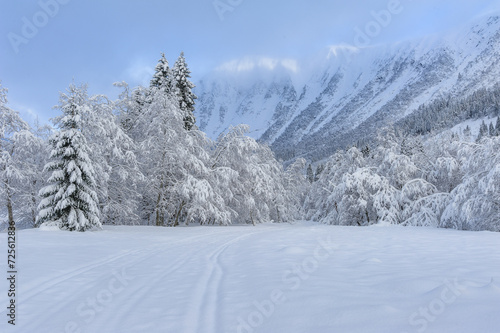 A serene landscape shows a fresh blanket of snow enveloping the trees and mountains, creating a silent and picturesque winter scene. © Alf Terje Vollan