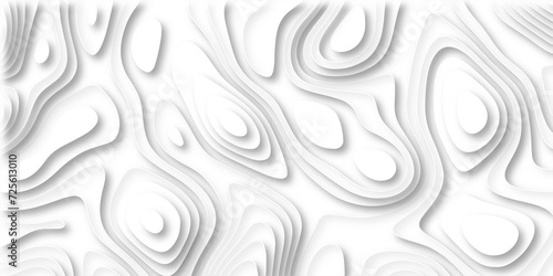 white paper and relief wave and cruve line paper cut background. soft white color seamless pattern, vector illustration, multi layer cutout banner design. topo counter map in 3d view.