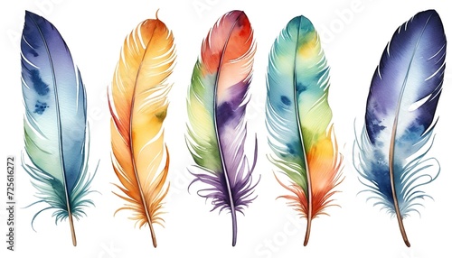 Watercolor Feathers: A Beautiful Isolation on White Background © Eliane
