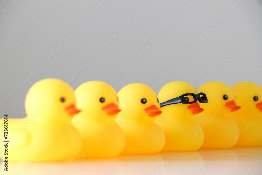 Six yellow rubber ducks in a row line. One duck stands out in focus wearing nerdy glasses. Stand out, be smart, get one’s ducks in a row concept. Six yellow rubber ducks in a row line. One duck stands out in focus wearing nerdy glasses. Stand out, be smart, get one’s ducks in a row concept.