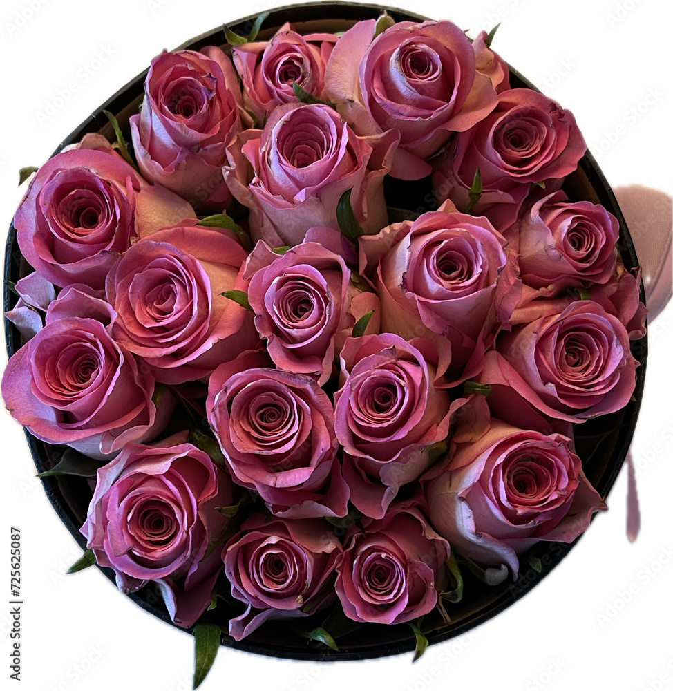 Naklejka premium Pink Roses in a Box, isolated