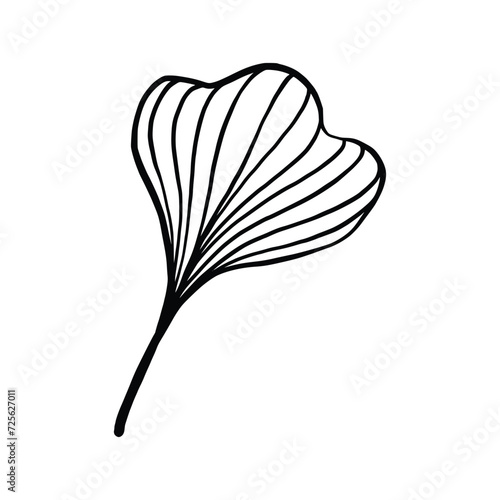 Single Leaf Line Art Illustration Isolated in White. Floral decoration branch leaf plant line. Modern single line art, aesthetic contour. Perfect for home decor such as posters, wall art, tote bag etc