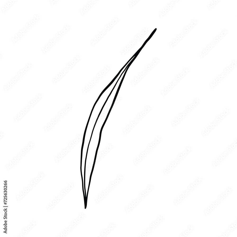 Single Leaf Line Art Illustration Isolated in White. Floral decoration branch leaf plant line. Modern single line art, aesthetic contour. Perfect for home decor such as posters, wall art, tote bag etc Single Leaf Line Art Illustration Isolated in White. Floral decoration branch leaf plant line. Modern single line art, aesthetic contour. Perfect for home decor such as posters, wall art, tote bag etc
