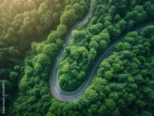 A beautiful bend of the road in the middle of a green forest. © SashaMagic