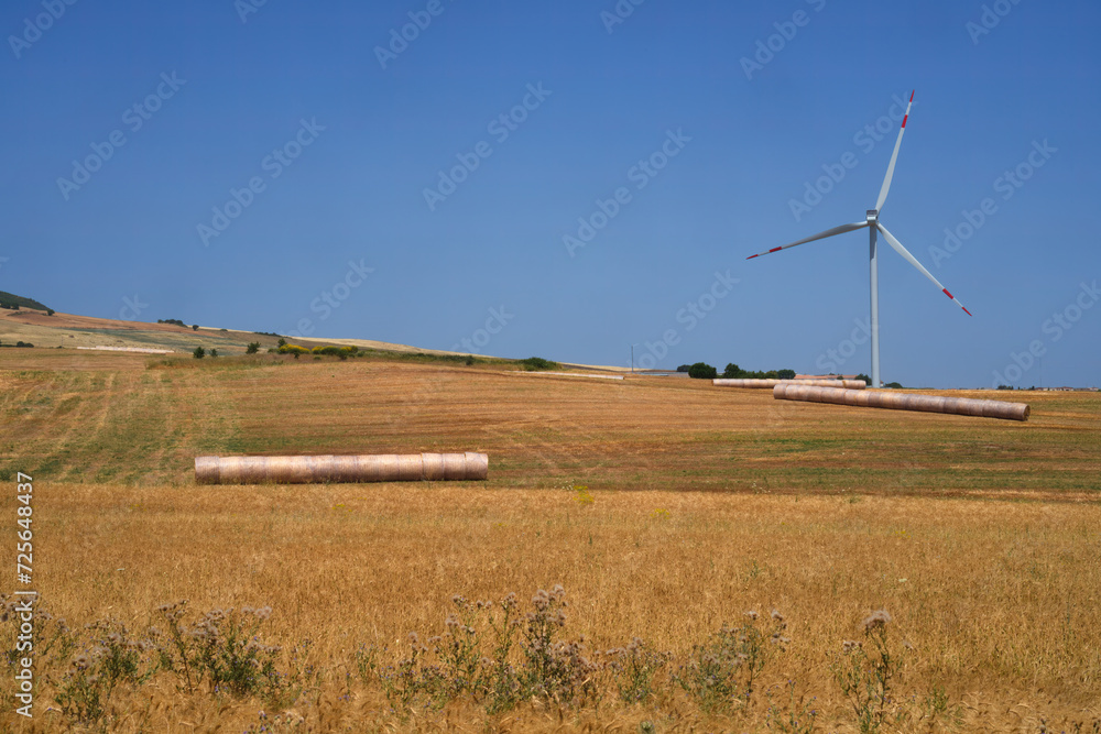 Fototapeta premium Country landscape near Forenza and Acerenza, Basilicata, Italy