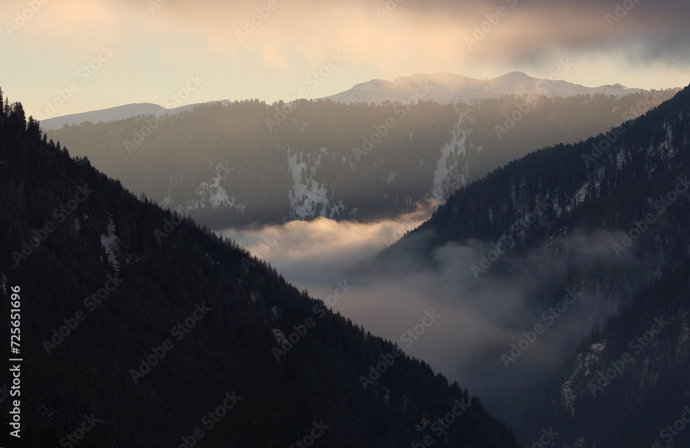 Misty valley in alps. Mountains slopes are covered with forest