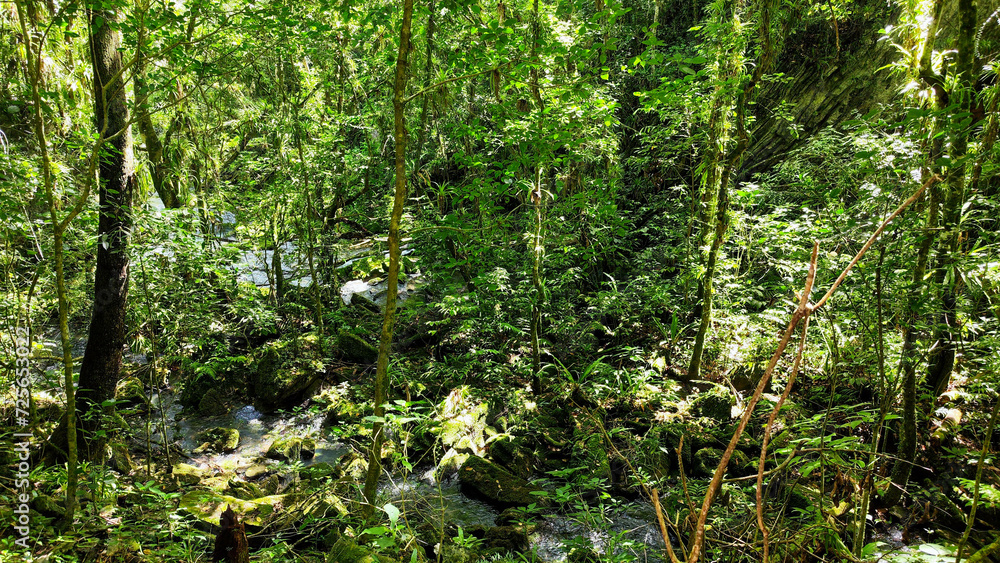 View at El Nicho waterfalls national park in Cuba