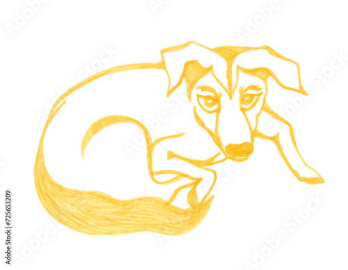 Stylized portrait by yellow lines. Cute small half-breed dog lies curled up in a ball. Cartoon graphics isolated image. A cozy sketch illustration with a friendly pet for a pet store or animal shelter
