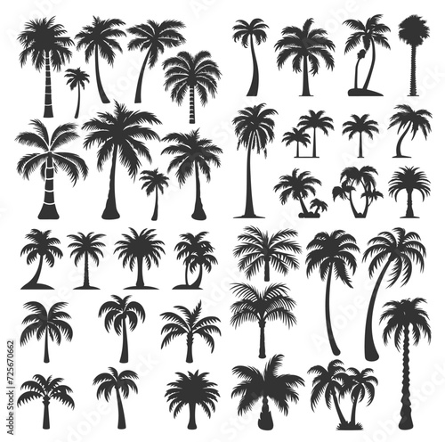Palmen Silhouette Palme Tropisch Icon Vektor Set