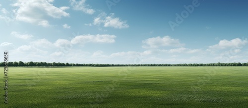 expanse of green grass and blue sky in the hot sun