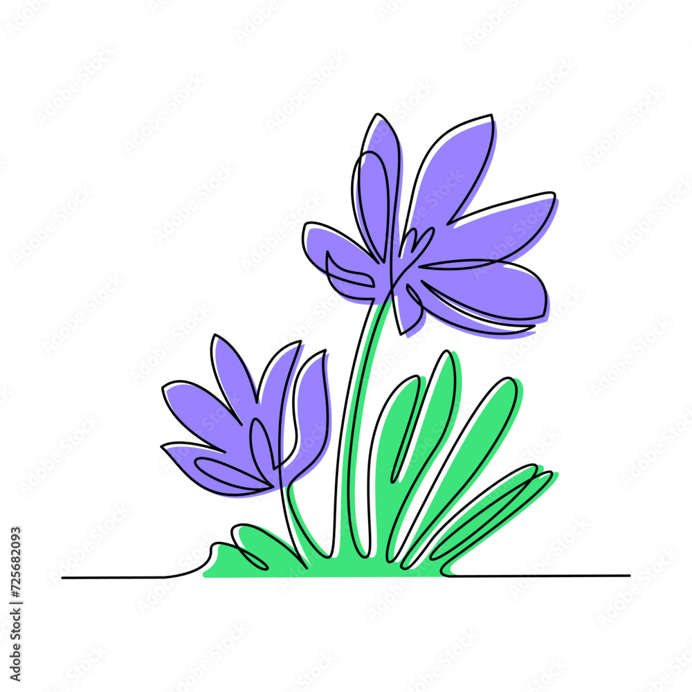 Spring flowers crocus drawn by one line. Vector illustration on a white background. Spring flowers crocus drawn by one line. Vector illustration on a white background.