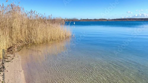 Frühling am See  photo