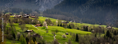 Mountains, Bort, Grindelwald, Bernese Oberland, Switzerland (4).jpg photo