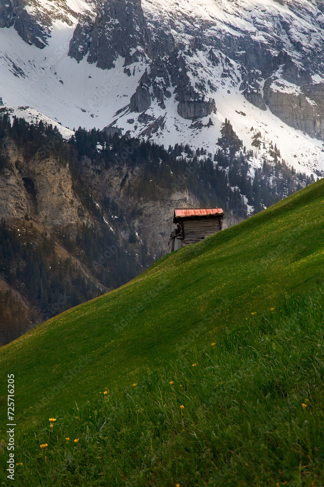 Mountains - Gimmelwald, Bernese Oberland, Switzerland (4).jpg