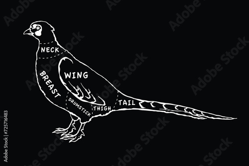 Butcher diagram guide for cutting pheasant in black and white graphic style