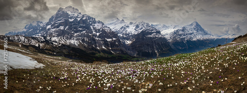 Mountains, First, Grindelwald, Bernese Oberland, Switzerland (3).jpg