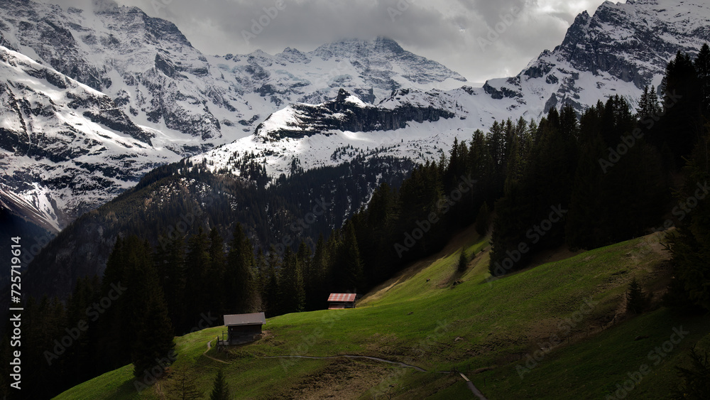 Buildings - Chalet,  Murren, Bernese Oberland, Switzerland.jpg