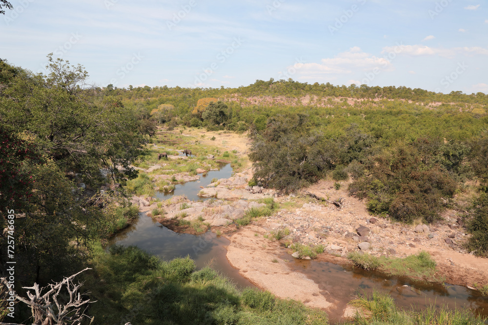 Afrikanischer Busch - Krügerpark - Nhlanganinii River / African Bush - Kruger Park - Nhlanganinii River /