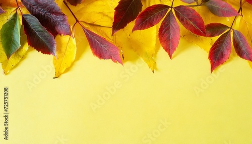 beautiful autumn leaves on a yellow background