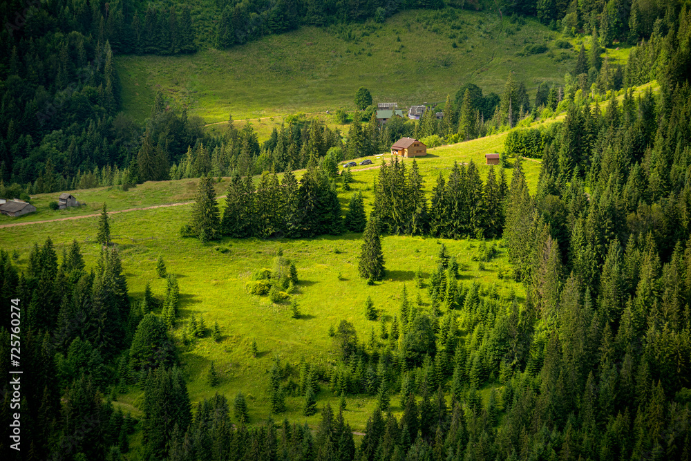 A small wooden house in a clearing in the mountains among a spruce forest. View from above.