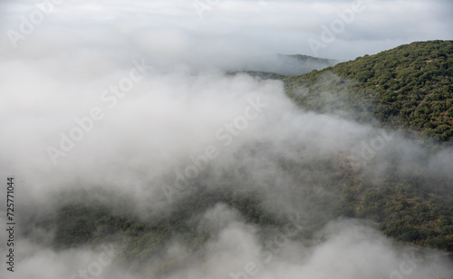 Mountain tops covered in a layer of mist and fog at dawn. Nature landscape