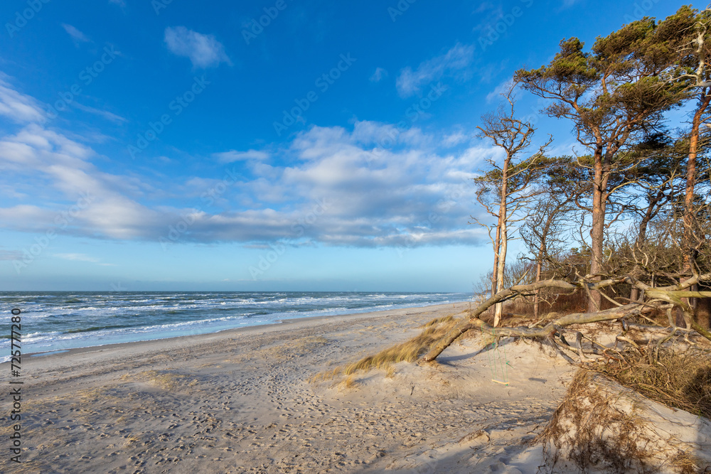 Im Februar am Darsser Weststrand, laut ARTE, einem der schönsten Strände der Welt. Im Februar am Darsser Weststrand, laut ARTE, einem der schönsten Strände der Welt.