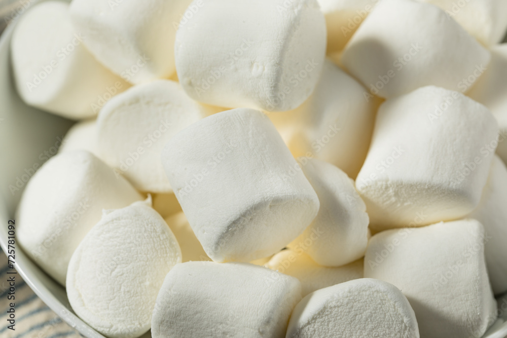 Organic Dry Big White Marshmallows Organic Dry Big White Marshmallows