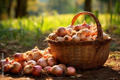 .Photo of a basket filled with onions