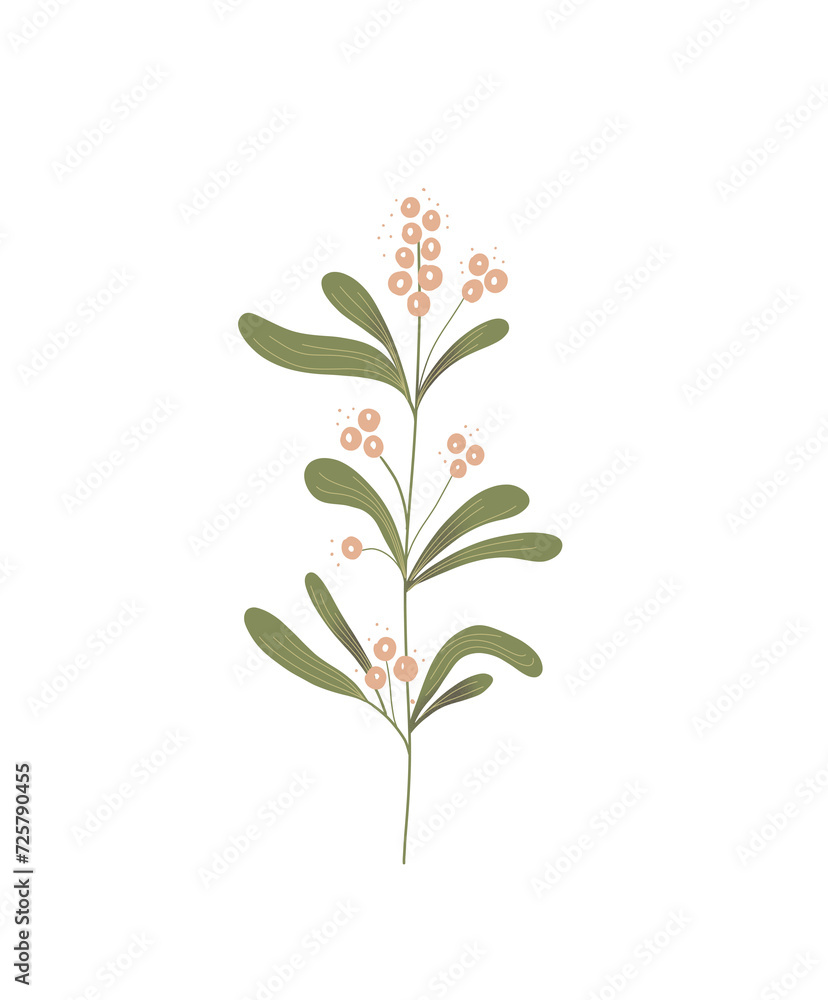 illustration, green, plant, nature, isolated, leaves, tree, grass, botany, bouquet, snow, winter, holidays, christmas, xmas, merry, pine, mistletoe, holly