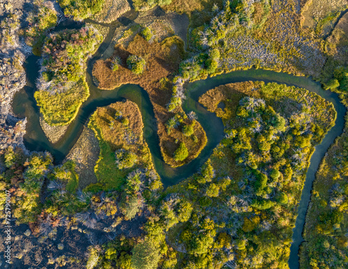 looking down at a sinuous creek running through a wetland