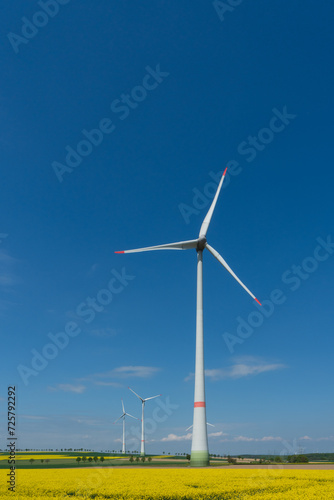 Wind turbines in the field in portrait format with copy space and blue sky 