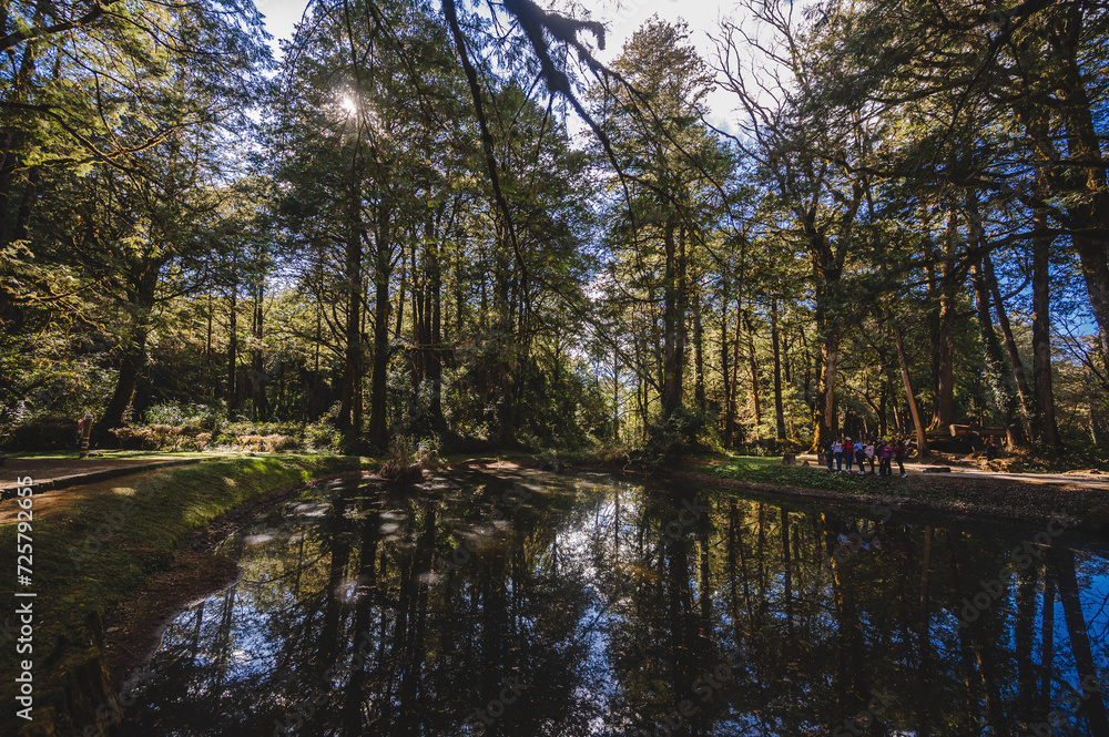 Obraz premium Younger Sister Water Pond the Alishan Nature Trail, adding a touch of allure to the Alishan National Scenic Areaa mountain resort and nature reserve nestled in Alishan Township