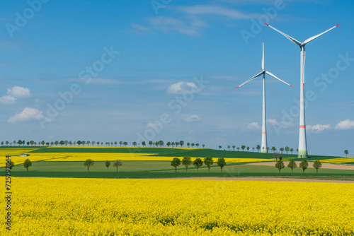 Wind turbines in the picturesque landscape between rapeseed fields and a few trees