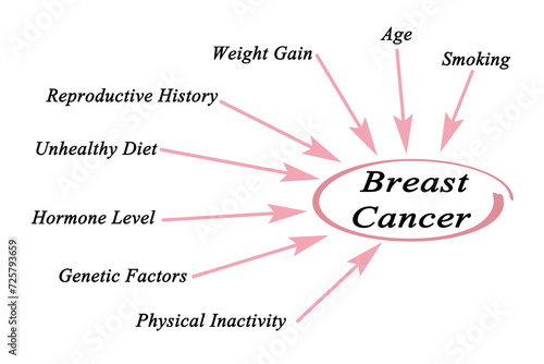 factors Influencing Risk of Breast Cancer