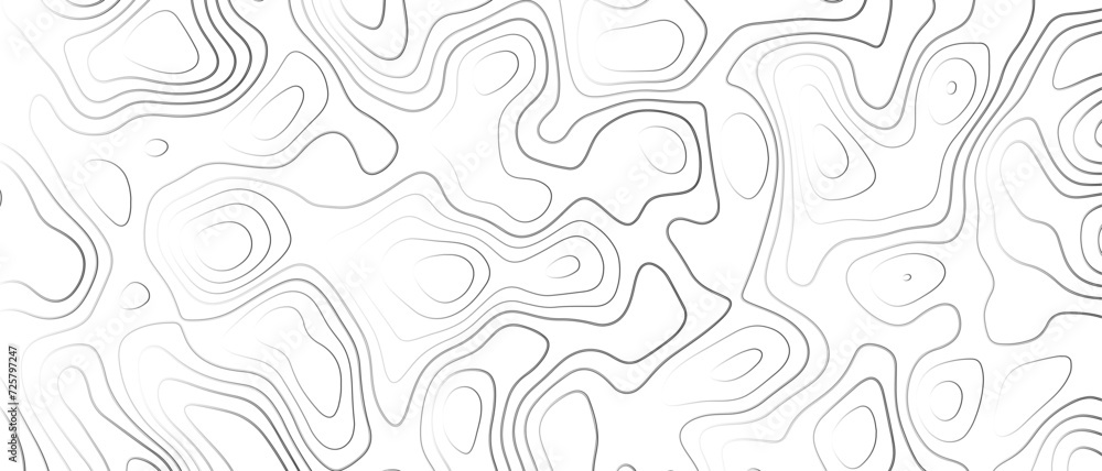Obraz premium Topographic gradient line map. Abstract circle lines background. Abstract blank detailed topographic contour map. Background of the topographic map. Line topography map contour background