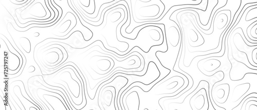 Topographic gradient line map. Abstract circle lines background. Abstract blank detailed topographic contour map. Background of the topographic map. Line topography map contour background photo