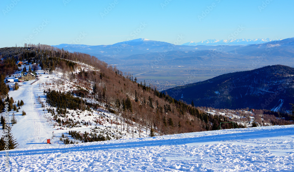 Klimczok zimą z widokiem na Tatry - obrazy, fototapety, plakaty 