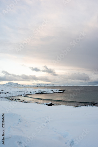 Vertical landscape with snow covered beach  overlooking the chilly ocean - Greenland