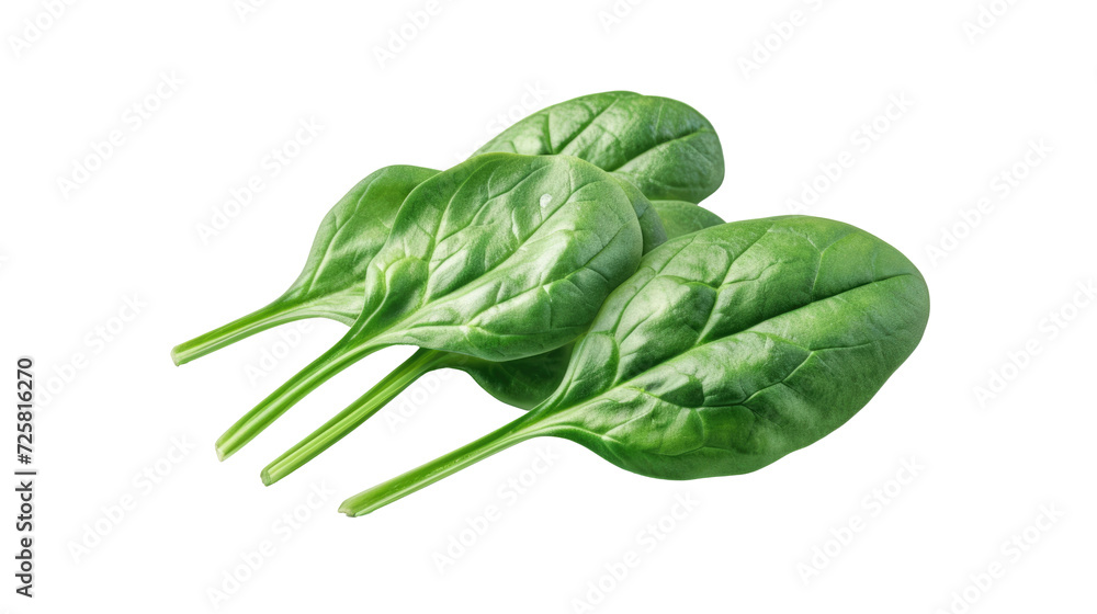 Spinach leaves isolated on transparent background. Various Spinach Spinach leaves isolated on transparent background. Various Spinach