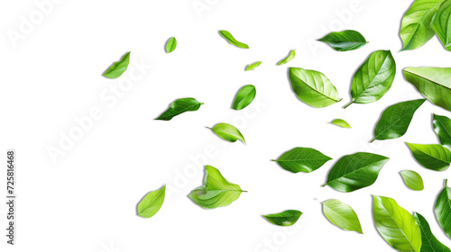 Green Floating Leaves Flying Leaves Green Leaf Dancing, Air Purifier Atmosphere on transparent