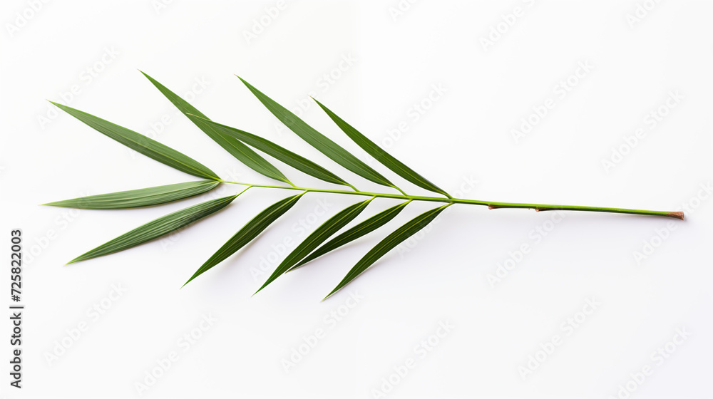Gałązka palmy - Niedziela Palmowa. Symbol wjazdu Jezusa do Jerozolimy. Chwała Panu - obrazy, fototapety, plakaty 