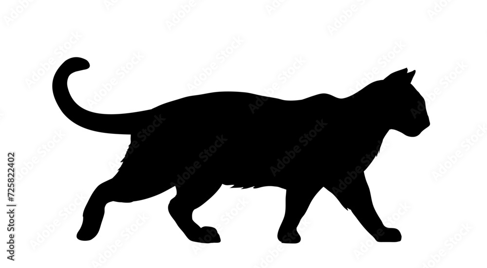 silhouette of a walking cat - vector illustration