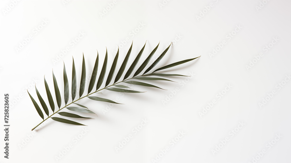 Gałązka palmy - Niedziela Palmowa. Symbol wjazdu Jezusa do Jerozolimy. Chwała Panu - obrazy, fototapety, plakaty 