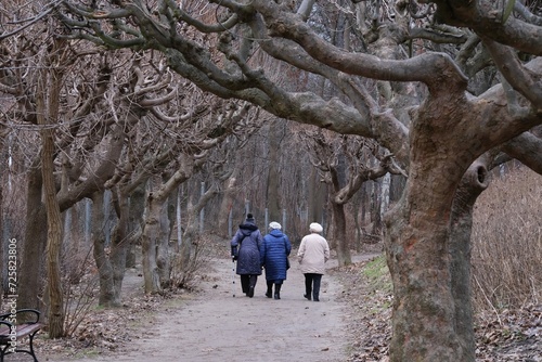Three old women on walk along avenue of trees with bent branches in autumn day. Brzezno, Baltic Sea, Gdansk, Poland © Iwona