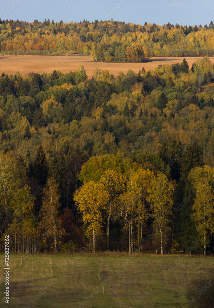View of the hilly forest. Autumn landscape